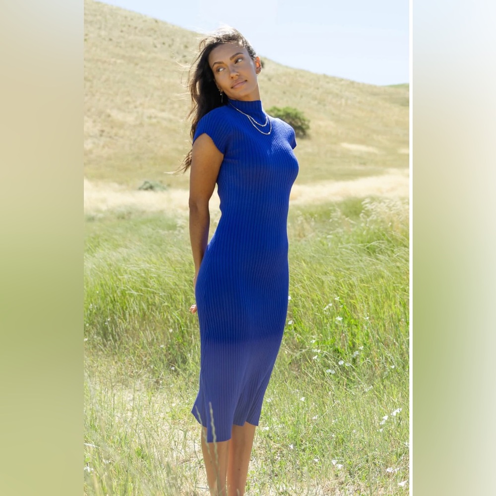 🎉NWT🎉 Bohme Kimi Bodycon Dress in Royal